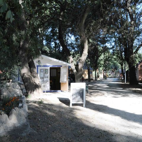 Camping Paradis Bellerive - Camping Gard - Image N°4