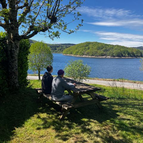 Les Rives du Lac du Laouzas - Camping Tarn - Image N°6