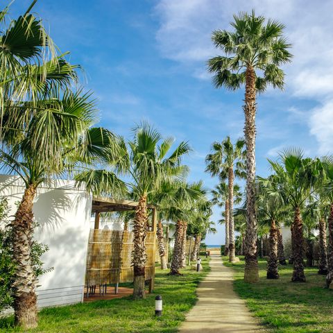 Camping Alannia Els Prats Camping Alannia Els Prats - Camping Tarragone - Image N°3
