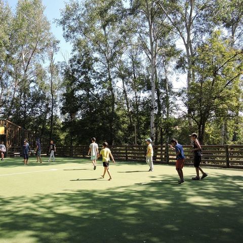 Camping Les Bonnets - Camping Hautes-Alpes - Image N°6