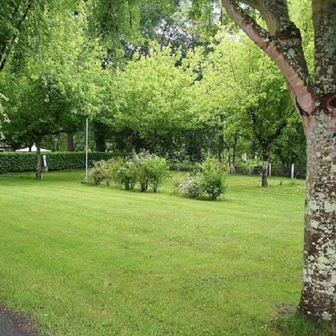 Camping Plein Air Neuvicois Camping Plein Air Neuvicois - Camping Dordogne - Image N°2