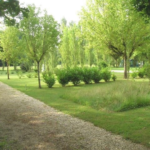 Camping Plein Air Neuvicois Camping Plein Air Neuvicois - Camping Dordogne - Image N°6