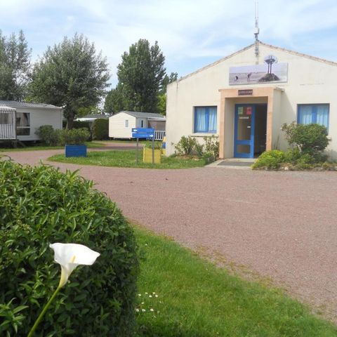 Camping de la Rive - Camping Vendée - Image N°5