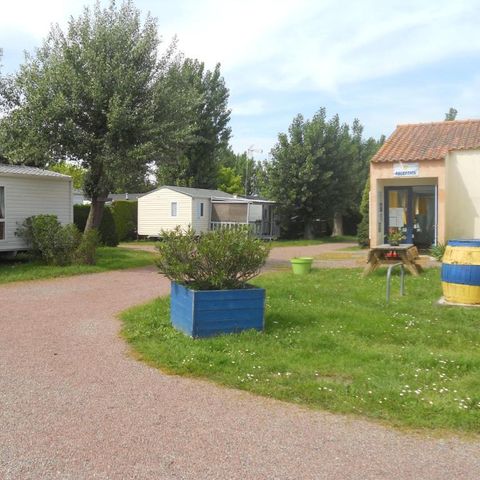 Camping de la Rive - Camping Vendée - Image N°6