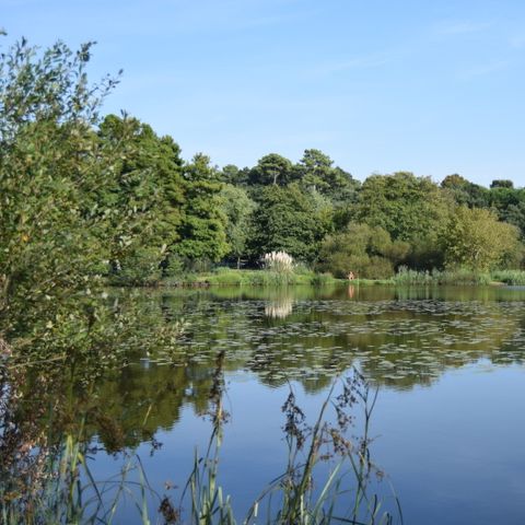 Camping Landae - Camping Landes - Image N°3