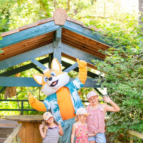 Camping Landae - Camping Landes - Image N°5