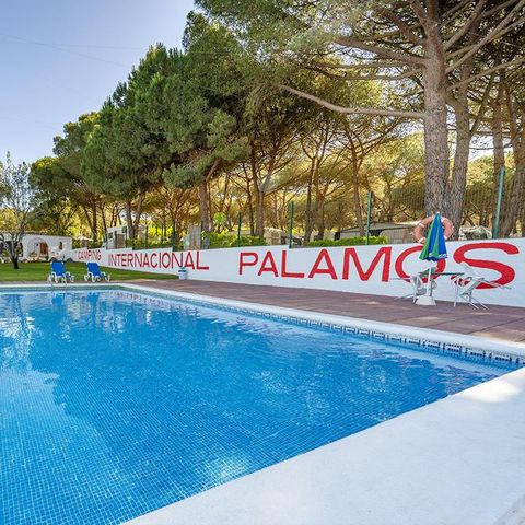 Camping Internacional Palamos Camping Internacional Palamos - Camping Gérone - Image N°5