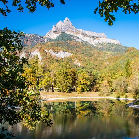 Campings Vacances Mont Blanc de l'Ecureuil Campings Vacances Mont Blanc de l'Ecureuil - Camping Haute-Savoie - Image N°2