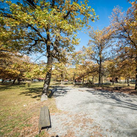 Campings Vacances Mont Blanc de l'Ecureuil Campings Vacances Mont Blanc de l'Ecureuil - Camping Haute-Savoie - Image N°6