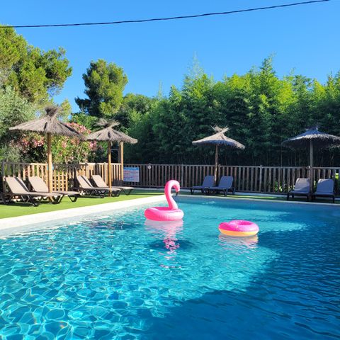 Camping les Cigales - Camping Hérault - Image N°3