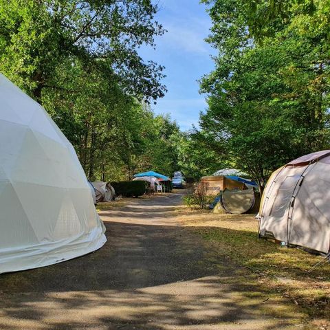 Camping d'Hurongues - Camping Rhône - Image N°3