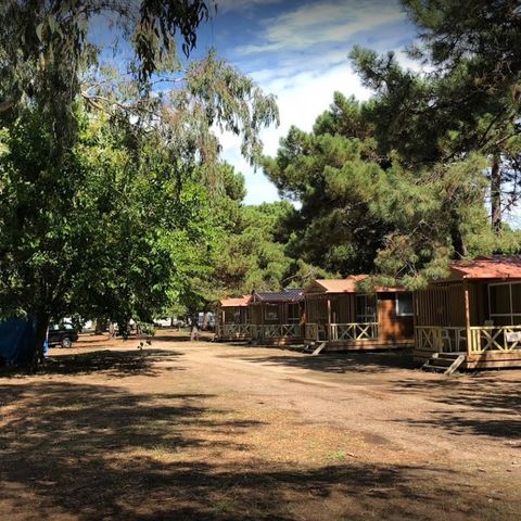 Camping L'Oso Camping L'Oso - Camping Corse du Sud - Image N°4