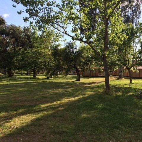 Camping L'Oso Camping L'Oso - Camping Corse du Sud - Image N°5