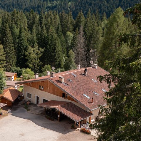 Club del Sole Val di Fiemme Easy Camping Village Club del Sole Val di Fiemme Easy Camping Village - Camping Trente - Image N°5