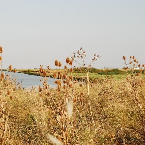 Camping Le Merval - Camping Vendée - Image N°6