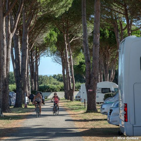Camping de Vaudois Camping de Vaudois - Camping Var - Image N°6
