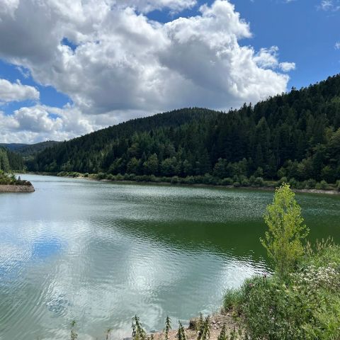 Camping De La Belle Etoile - Camping Loire - Image N°3