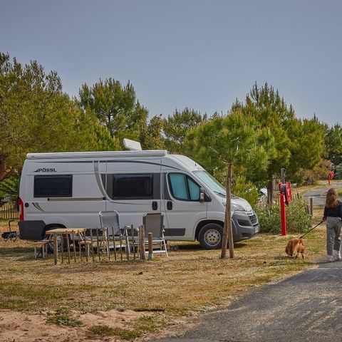 Camping Homair La Côte Sauvage  - Camping Charente-Maritime - Image N°3
