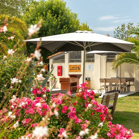Camping Les Catalpas de Royan - Camping Charente-Maritime - Image N°4