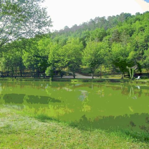 Camping Le Roc de Lavandre - Camping Dordogne - Image N°4