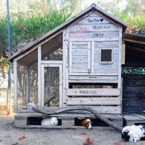 Camping U pezzo - Camping Corse du Nord - Image N°6