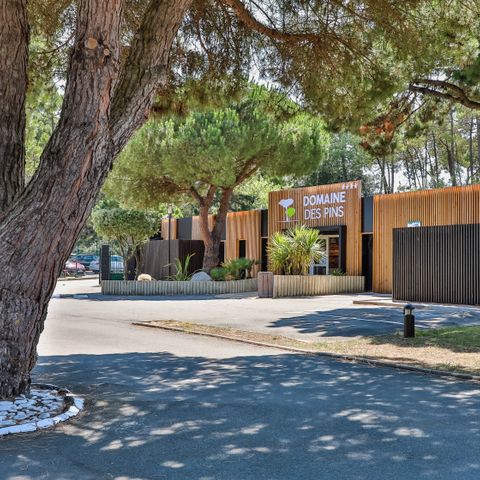 Domaine des Pins   - Camping Vendée - Image N°6