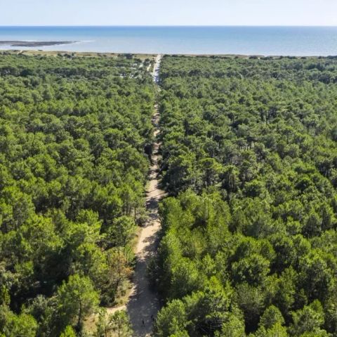 Camping maeva Escapades La Parée du Both - Camping Vendée - Image N°2