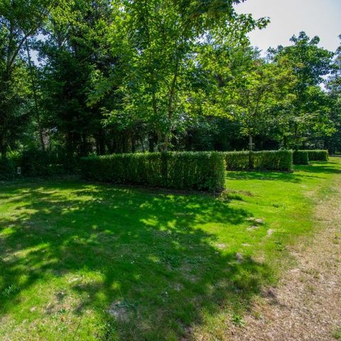 Camping des Bains - Camping Nièvre - Image N°5