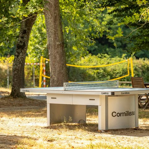 Camping Château La Forêt - Camping Vendée - Image N°6