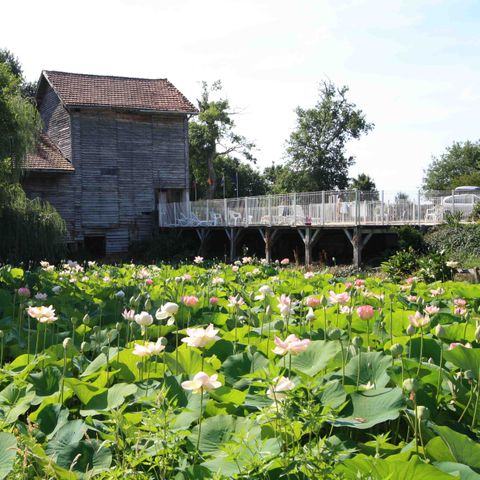 Camping Domaine du Vieux Moulin - Camping Landes - Image N°5