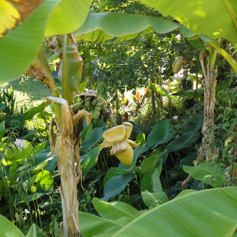 Camping Domaine du Vieux Moulin - Camping Landes - Image N°6