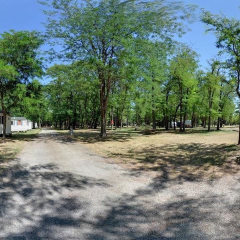 Camping Mas Sud Ardèche - Camping Ardèche - Image N°5