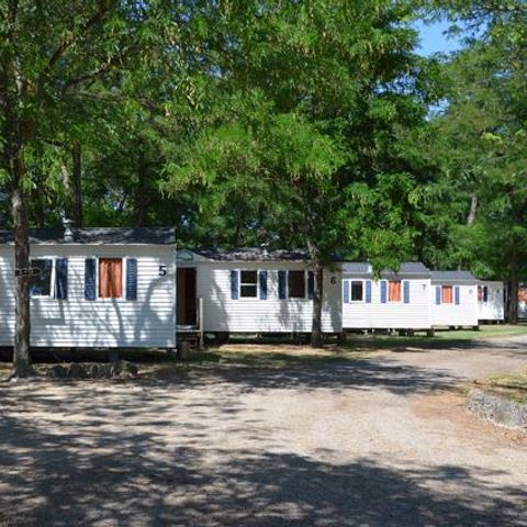 Camping Mas Sud Ardèche - Camping Ardèche - Image N°3