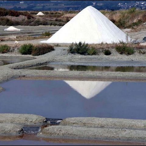 Camping Fleur de Briere - Camping Loire-Atlantique - Image N°4