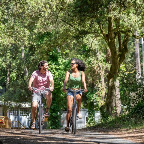 Camping Le Logis  - Camping Charente-Maritime - Image N°5