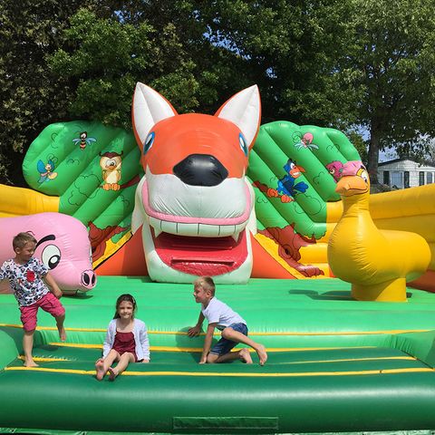 Camping Les Ormeaux - Camping Charente-Maritime - Image N°5