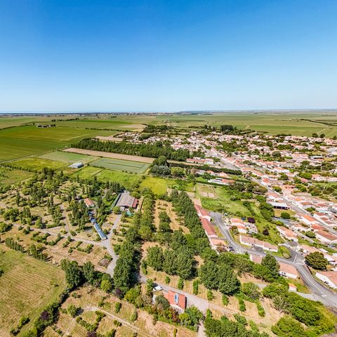 Camping La Dive - Camping Vendée - Image N°6