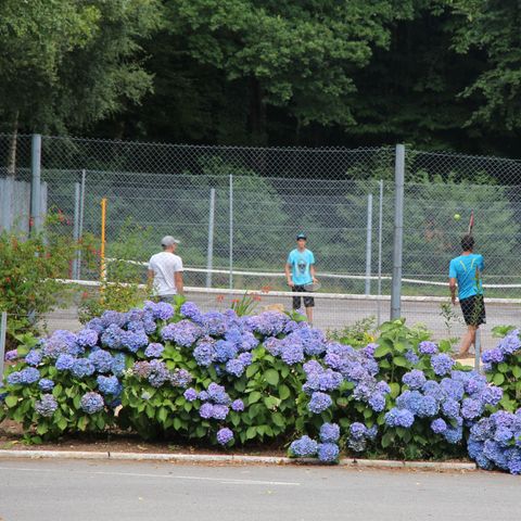 Camping Les Myrtilles - Camping Finistère - Image N°4