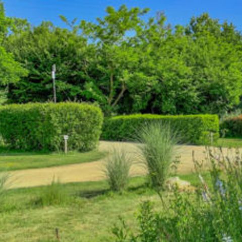 Camping Au Pré de l'Etang - Camping Vendée - Image N°4
