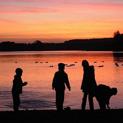 Sunêlia Camping les Nids du Lac Sunêlia Camping les Nids du Lac - Camping Vosges - Image N°3