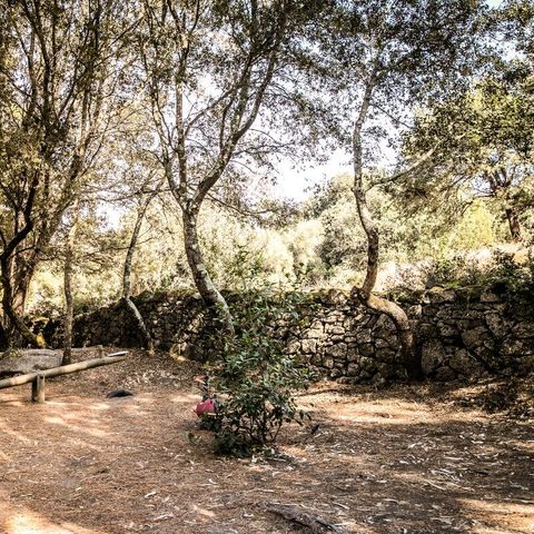 Camping Olva  Camping Olva  - Camping Corse du Sud - Image N°6