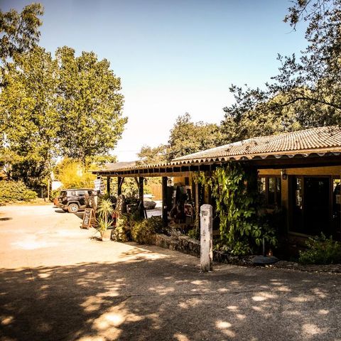 Camping Olva  Camping Olva  - Camping Corse du Sud - Image N°5