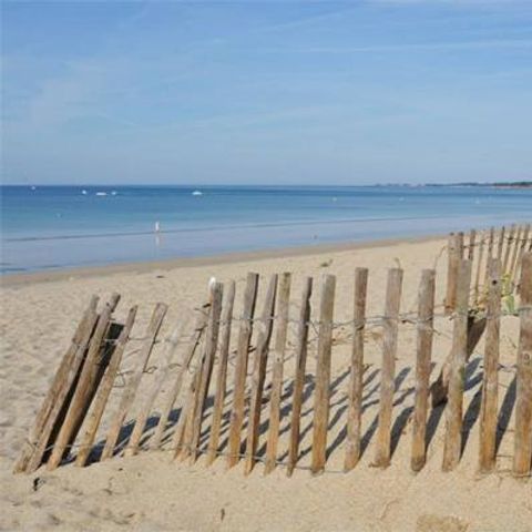 Camping Les Mouettes - Camping Morbihan - Image N°6