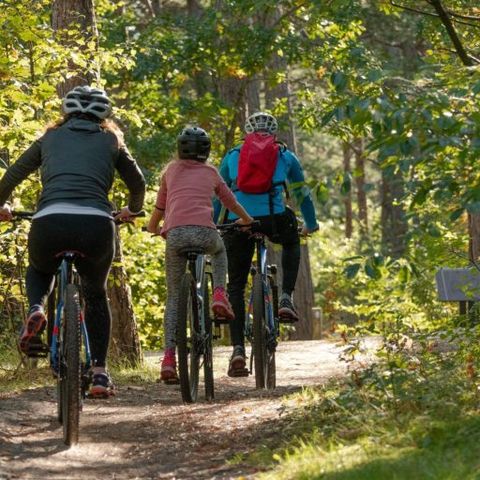 Camping du Lac de Saujon - Camping Charente-Maritime - Image N°4