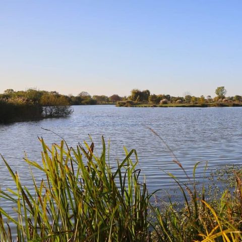 Camping du Lac de Saujon Camping du Lac de Saujon - Camping Charente-Maritime - Image N°3