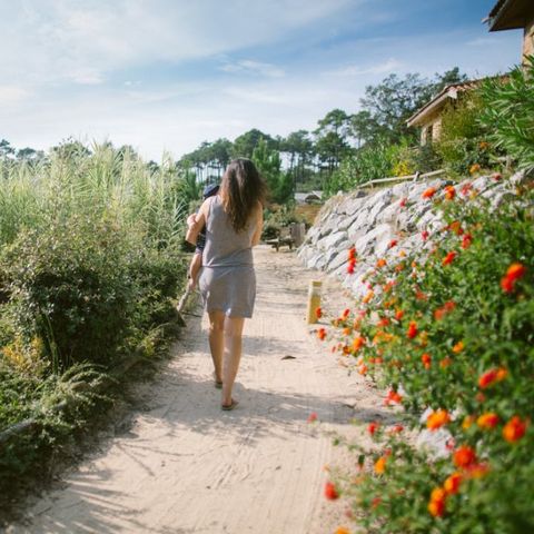Naturéo Éco Resort - Camping Landes - Image N°5