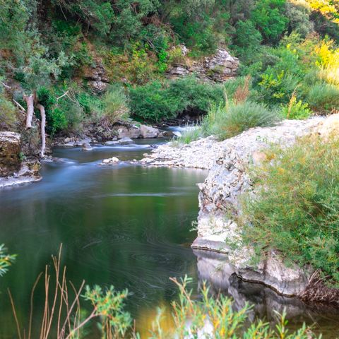 Camping Les Gorges de l'Herault - Camping Gard - Image N°3