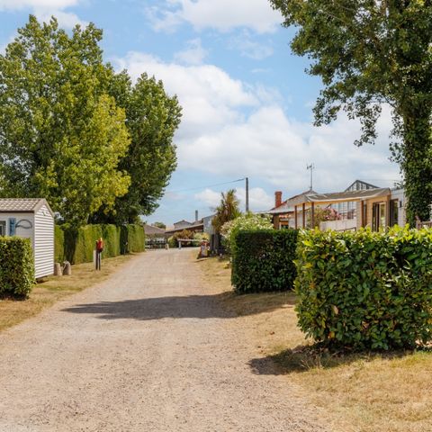 Camping maeva escapades Sun Ocean  Camping maeva escapades Sun Ocean  - Camping Vendée - Image N°6