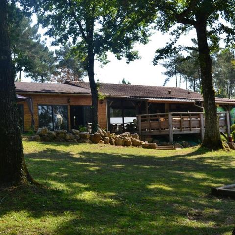 Domaine des Grands Pins  - Camping Dordogne - Image N°2