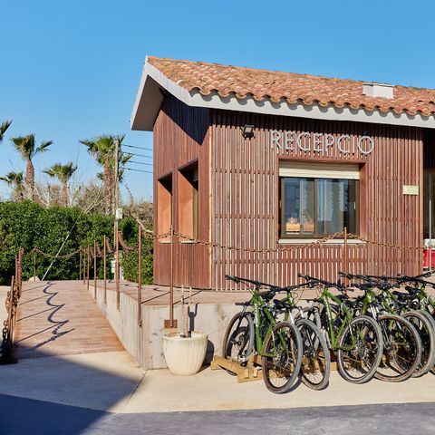 Camping Taiga Delta de l'Ebre Camping Taiga Delta de l'Ebre - Camping Tarragone - Image N°5